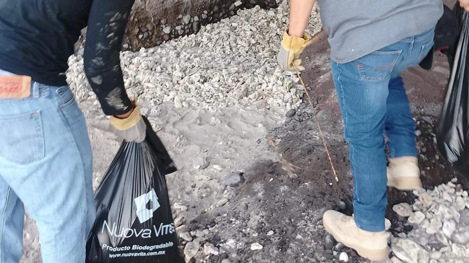 Basura limpieza la paz 1